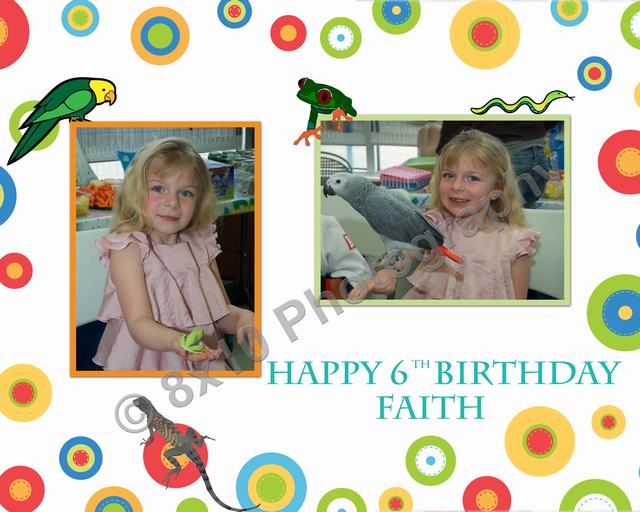 Animal Birthday